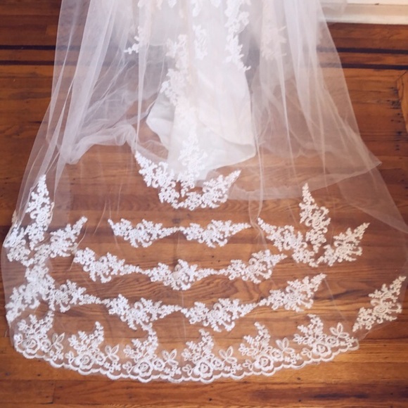 Veil - Picture 3 of 4